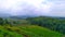 Rice field in highlands