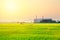 Rice field with industry factory.