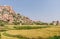 Rice field landscape in front of rocky boulder hill, Hunumanahalli, Karnataka, India