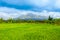 Rice field and Mayon Volcano, Legazpi