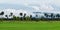 Rice field and mountain under cloudy sky in rainy season