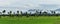 Rice field and mountain under cloudy sky in rainy season