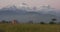 Rice field near high mountain range