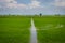 Rice field near Vercelli along the Francigena trail