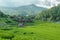 Rice field on the north of Thailand