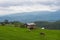 Rice field at Pa Bong Piang village in Mae Cham , Chiangmai, Thailand.