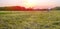 Rice field panarama with sunrise or sunset