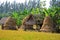 Rice field and straw hut at Jim Thompson Farm