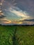 Rice field suunset cloudly landscape