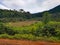 Rice field terrace small farm hill mountain north chiang mai village doi pui peak reservoir scoote rbike trip Thailand