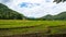 Rice field terrace in Thailand