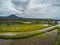 Rice field terraces, Bali, Indonesia