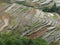 Rice field terraces in Yunnan, China.