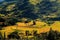 Rice field in the valley