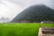 Rice field in valley around with mountain panorama view in Bac Son valley, Lang Son, Vietnam