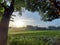 Rice field in the White Land