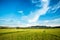 Rice field yellow grass blue sky cloud cloudy landscape background