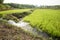 Rice fields Asia showing  irrigation channels and manmade reservoirs to help with rice growing and production