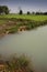 Rice fields Asia showing  irrigation channels and manmade reservoirs to help with rice growing and production