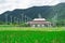 Rice fields, berry plantations, green backgrounds, wind turbines and mountains