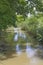 rice fields, checks, water, canals and hydraulic structures with water.