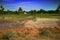 rice fields at expense of veldt in foothills of Deccan plateau