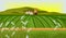 Rice fields farm landscape Vector. Sunshine background illustrations