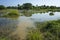 Rice fields flooded with water in Inwa Ava, Myanmar