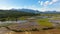 Rice fields are flooded with water. Tropical landscape with fertile soil.