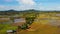 Rice fields are flooded with water. Tropical landscape with fertile soil.