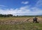 rice fields after harvest and waiting for the rainy season to come again to irrigate the fields again