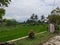 The rice fields of Kajoran village are still beautiful