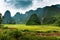 Rice Fields and Karst Rocks in Guangxi Province of China