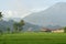 Rice fields in the morning light. rural feel landscape with valley in mist behind forest