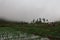 Rice fields in mountains fog and clouds