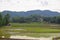 Rice fields, mountains, sky soft and blur