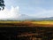 Rice fields near Mount Ciremai, West Java, Indonesia