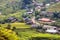 Rice fields at Northwest Vietnam.