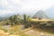 Rice fields on paddy mountain sapa, Vietnam.