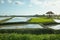 Rice Fields In Pererenan, Bali, Indonesia. Picturesque Rural Terraced Landscape.