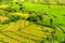 Rice fields, rice terrace, Bali, Indonesia