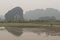 Rice fields and river. Nimh Binh, Vietnam.