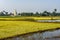 Rice fields and a stupa near Mandalay, Myanmar