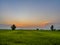 rice fields in sunset