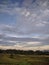 rice fields swale type the golden light of the sun that appears and the clouds look gray, with a very charming blue sky