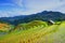 Rice fields on terrace in rainy season at Mu Cang Chai, Yen Bai, Vietnam.