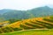 Rice fields on terraced. Fields are prepared for planting rice. Ban Luoc, Huyen Hoang Su Phi, Ha Giang Province. Northern Vietnam.