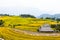 Rice fields on terraced. Fields are prepared for planting rice. Ban Phung. Ha Giang. Huyen Hoang Su Phi. Northern Vietnam