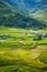 Rice fields on terraced. Fields are prepared for planting rice. Lim Mong, Huyen Mu Chang Chai, Northen Vietnam.