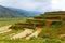 Rice fields on terraced mountain farm landscapes.